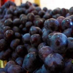 Evolução enológica foi decisiva na Safra 2021