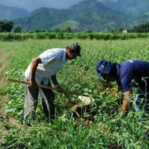Mapa anuncia criação de plataforma para análise dos dados do Cadastro Ambiental Rural