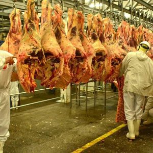 Indústria de carnes comemora novo status sanitário do RS