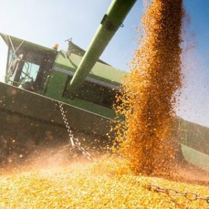Ministério da Agricultura lança Observatório da Agropecuária Brasileira