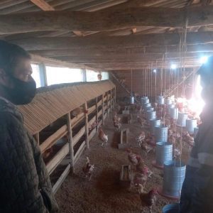 Secretaria da Agricultura realiza vigilância ativa em granjas de Formigueiro