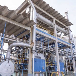 Empresas focam em metas de sustentabilidade a longo prazo