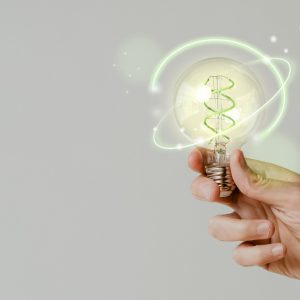 Combustível verde é opção para o desenvolvimento sustentável