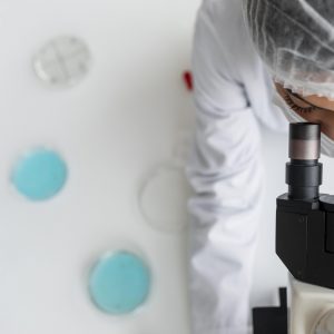 Criopreservação: cinco pontos de atenção antes de aderir ao processo