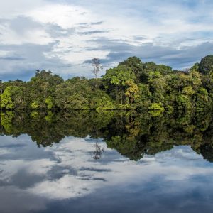 Insegurança alimentar atinge mais de 60 milhões de brasileiros