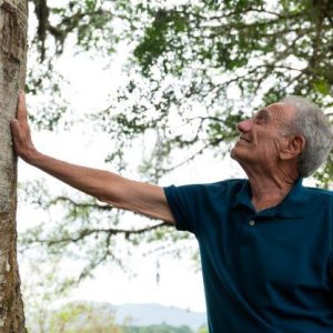 Investimentos sustentáveis impulsionam o desenvolvimento de Tijucas