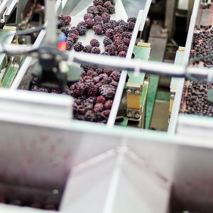 Máquinas mais resistentes evitam contaminações na indústria de alimentos