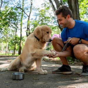 5 tecnologias que ajudam tutores de pets