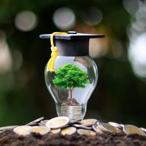 <strong>Quais são as universidades mais sustentáveis do Brasil e do mundo</strong>