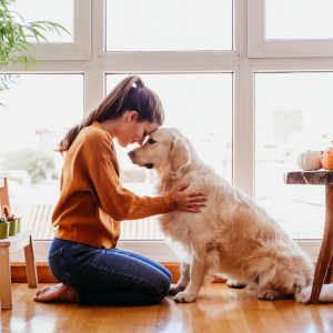 Janeiro branco: conscientização sobre o bem-estar dos animais