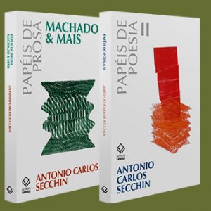<strong>Acadêmico Antonio Carlos Secchin percorre veredas da prosa e da poesia</strong>