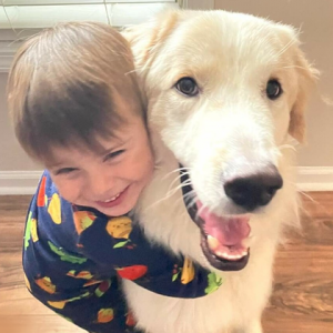 Cachorro finalmente ganha um lar após 14 adoções falharem
