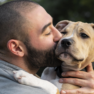 Cães choram quando os tutores voltam para casa, diz estudo