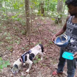 EUA: cadela é resgata em caverna por grupo de exploradores