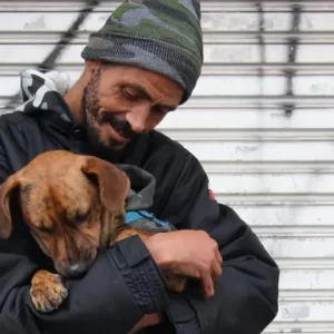 Justiça reconhece cão como membro da família e devolve animal a tutores em situação de rua