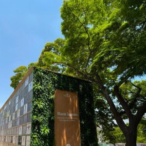 Grupo Maya promove acolhimento no Dia de Finados