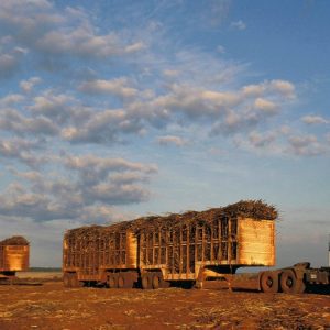 Alerta de buracos reduz custos no transporte de cana-de-açúcar