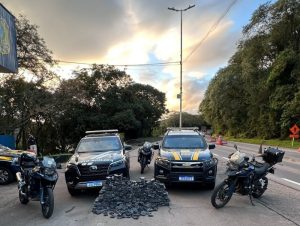 Polícia Civil e PRF apreendem mais de 230 quilos de maconha em Santa Maria