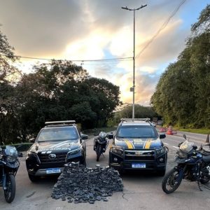 Polícia Civil e PRF apreendem mais de 230 quilos de maconha em Santa Maria
