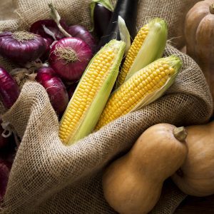 China, Paraguai e Palau abrem seus mercados para produtos agropecuários do Brasil