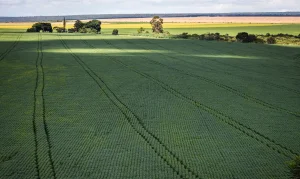 Senado aprova plano para fabricação de fertilizantes no Brasil