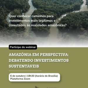 Webinário debate caminhos para investimentos sustentáveis