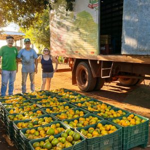 Sidrolândia lidera CeasaMS com a força do pequeno agricultor
