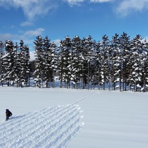 Land Art: artistas transformam natureza em telas