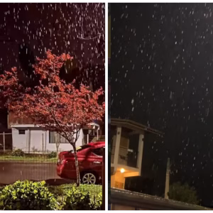 Rio Grande do Sul tem chuva congelante e menor temperatura do ano a poucas semanas da primavera