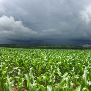 El Niño forte aumenta risco para o agronegócio