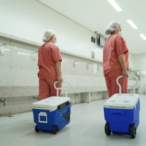 Recusa familiar desafia doação de órgãos no Brasil
