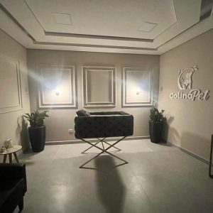 Mercado funerário pet cresce com mudança nas famílias