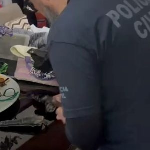 Operação Obelisco é deflagrada em Dom Pedrito contra crimes de lavagem de dinheiro