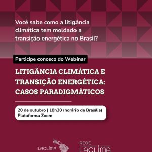 Webinário debate avanço da litigância climática