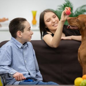 Atendimento gratuito com cães para crianças neurodivergentes