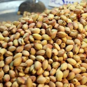 Pistaches oferecem benefícios para a saúde