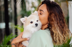 Datas dedicadas aos animais reforçam importância dos cuidados preventivos