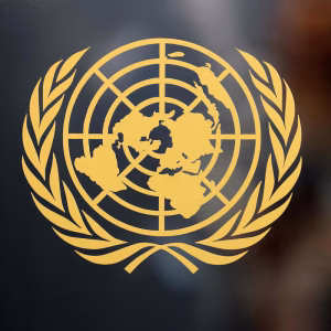 ONU alerta contra o uso “desnecessário e excessivo” da força em protestos na Albânia, na França ou na Itália