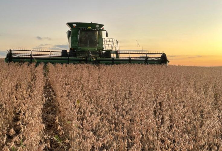 12c47eae-b6e0-48be-92f6-afeee4e11105