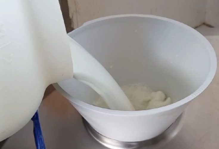 2e396998-cc33-42b5-a617-f5ccf213c741