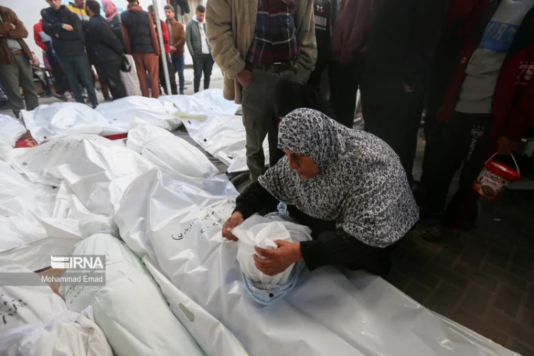 3aa3d280-d7b5-4427-aa09-c948d830bfb6-gaza2