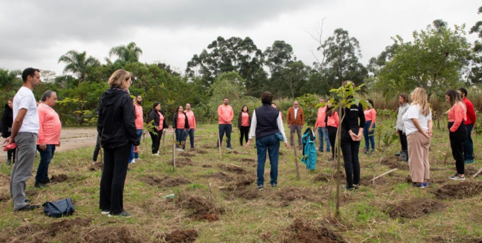 456f3652-d0b0-4b39-88e9-193b35a5d8c6