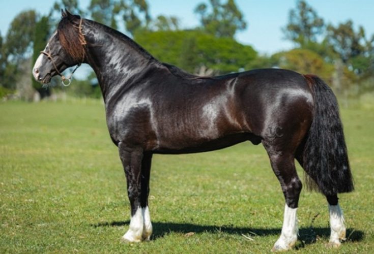 4e536fbe-2e67-4de9-b66c-e7367e8ea03a