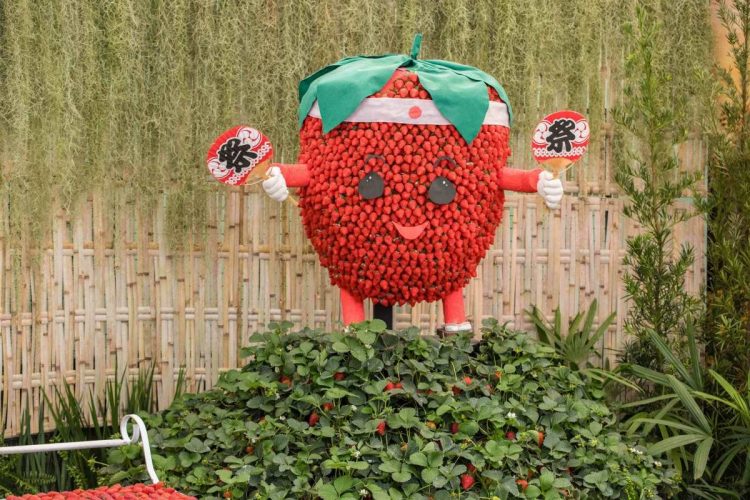 Festa de Flores e Morangos de Atibaia apresenta novidades