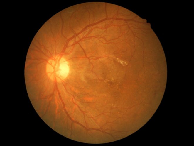 731b8cfb-ad57-41ed-bce1-4a6e4f02667c 731b8cfb-ad57-41ed-bce1-4a6e4f02667c