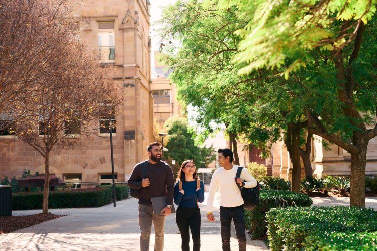 75da66ff-7d6f-4c76-9b94-2366dbd05902 75da66ff-7d6f-4c76-9b94-2366dbd05902