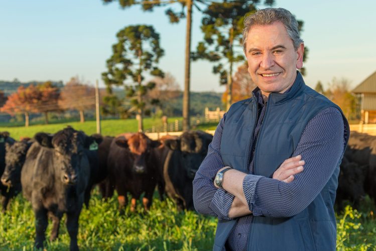 Banco de imagens Associação Brasileira de Angus