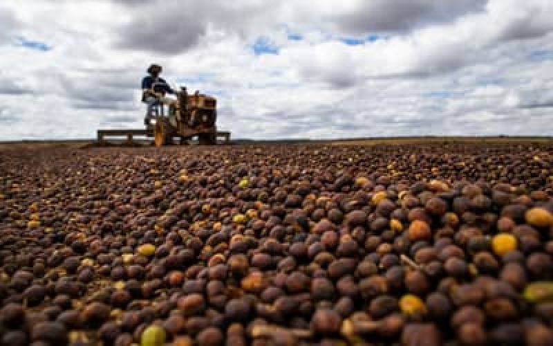 CmaraaprovaanliseaceleradaparanovasregrasdoSeguroRuralnoBrasil_0297795001772611600.jpeg
