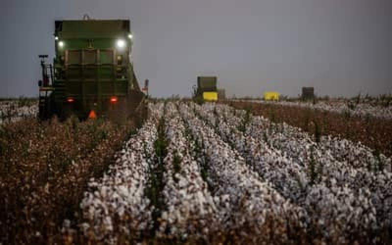 CmaraaprovareformadapolticaagrcolapararevitalizarSeguroRural_0878764001780387617.jpeg