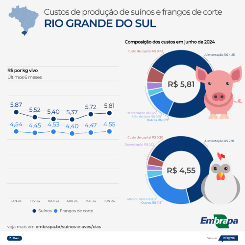 Custos de produção RS JUN-24 - Embrapa Suínos e Aves